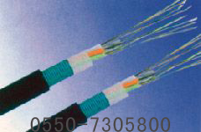 ZR-YJV22-0.6/1KV 3*150+1*70交联电力电缆