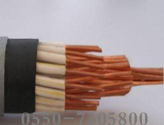 YY 控制电缆◆系列 PVC 数据电缆